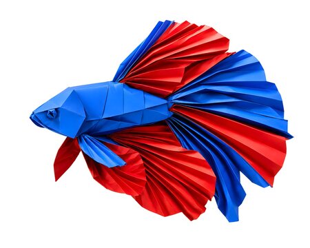 Origami Betta Fish with Flowing Fins in Vivid Blue and Red Paper &ndash; Premium Macro Studio Shot