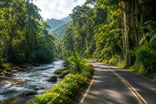 Asphalt road running alongside a beautiful flowing river in a lush green tropical rainforest