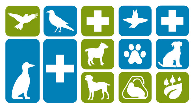 Veterinary clinic icon set animals crosses and green and blue squares