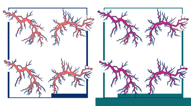 Illustration vectorielle abstraite montrant des motifs de branches organiques complexes dispos&eacute;s dans des cadres rectangulaires avec des variations de couleurs contrast&eacute;es