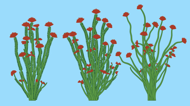 Tr&ecirc;s ilustra&ccedil;&otilde;es vetoriais de cactos verdes com flores vermelhas vibrantes isoladas em um fundo azul claro, estilo gr&aacute;fico plano para design bot&acirc;nico e decora&ccedil;&atilde;o.