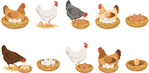 Obraz premium Poultry Farming and Chicken Breeding Vector Icon Set Featuring Hens Brooding in Straw Nests Laying White and Brown Eggs and Feeding on Grains