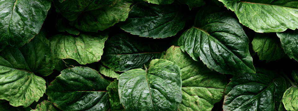 green foliage pattern