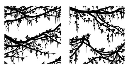 Fototapeta premium Black Silhouette of Hanging Vines and Leaves on White Background, Jungle or Forest Element