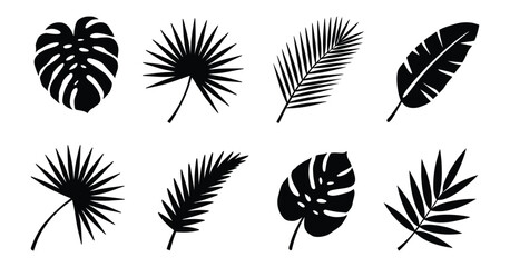 Tropical summer palm leaves silhouette, monstera banana fern foliage, exotic jungle botanical elements, black vector, isolated on transparent background, editable illustration. ©  