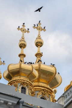 Large gathering of hooded crows on domes of church in town, wild birds fly over roof and sitting on crosses preparing for night rest, ornithology and birdwatching, behavior of corvids in urban city.