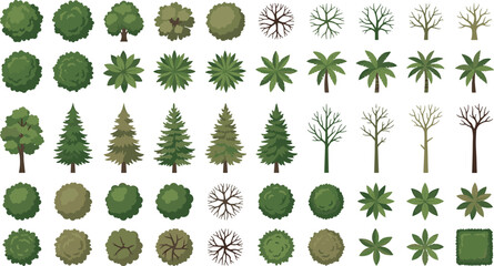 Collection of various tree species in top down view for landscaping and architectural design with landscape architecture evergreen deciduous botanical collection environment © Golzar