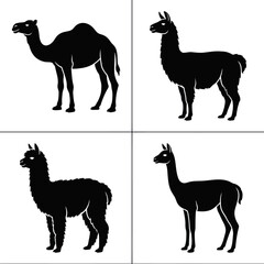 Four black llama silhouettes standing side. © Nur