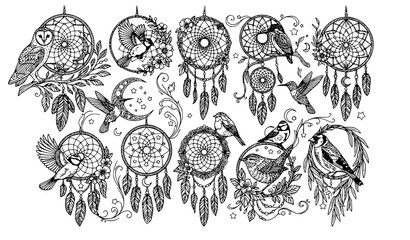 Floral dreamcatcher collection with barn owl hummingbird chickadee and finch surrounded by moon stars flowers and feathers line art illustration © Abdullahall
