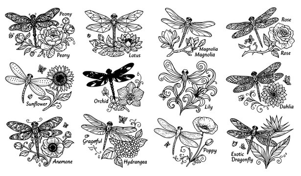 Dragonfly floral collection with peony lotus magnolia rose sunflower orchid lily dahlia anemone hydrangea poppy in twelve line art illustrations