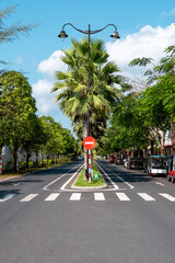 Fototapeta premium Sunny urban street with no‑entry sign, tall streetlight, greenery, and parked vehicles along the roadside