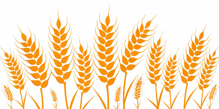 Wheat grain stalks orange vector illustration on a white background