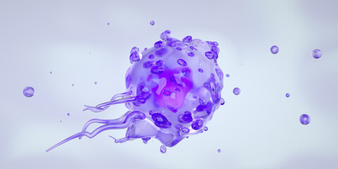 Fototapeta premium Macrophage engulfing e. coli bacteria, 3d render, photo stock