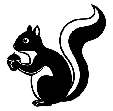 squirrel with nut