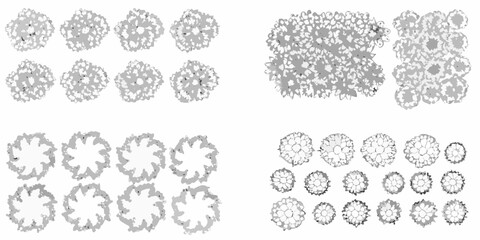 hand drawn shrub and bush illustrations in grayscale on white background illustration hand drawn white background landscape plant vegetation botanical sketch drawing © Lalin