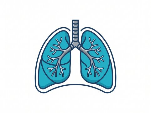 Human Lungs Sticker Vector Illustration Anatomy Respiratory System Icon
