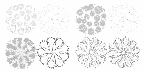 collection of eight hand drawn shrubs and bushes on white background shrub bush plant vegetation botanical illustration © Dibyendu