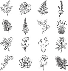 Collection of black and white line art plants and flowers © Songram