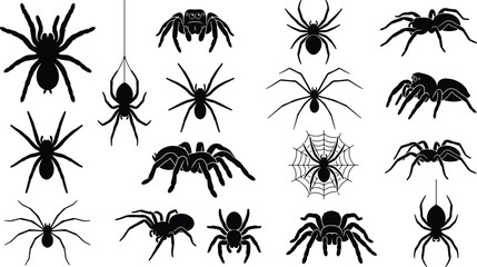 Spider silhouette collection, arachnid species icons, creepy insect illustrations, vector bundle for Halloween wildlife designs © Creative Vector Work