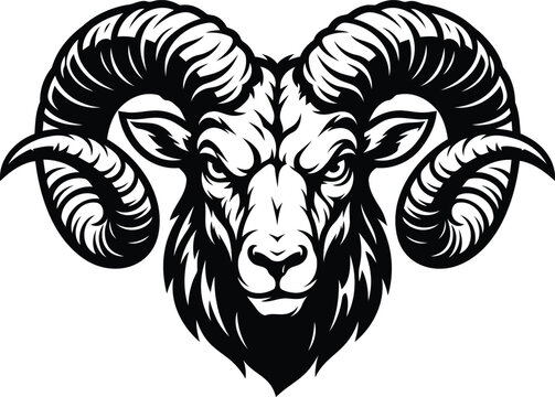 Intense ram head mascot vector illustration for strong team emblem design