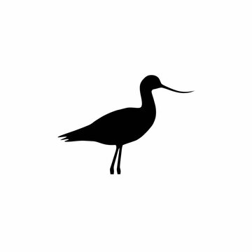 Shorebird sandpiper silhouette icon vector illustration