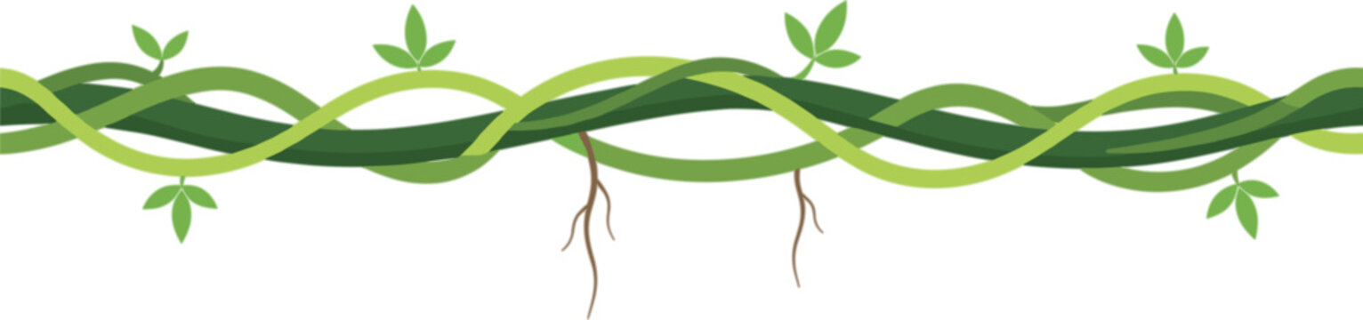 Jungle liana creepers seamless horizontal border green vines vector illustration