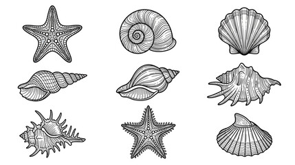 Collection of Hand-Drawn Seashells and Starfish Illustrations © Bebel