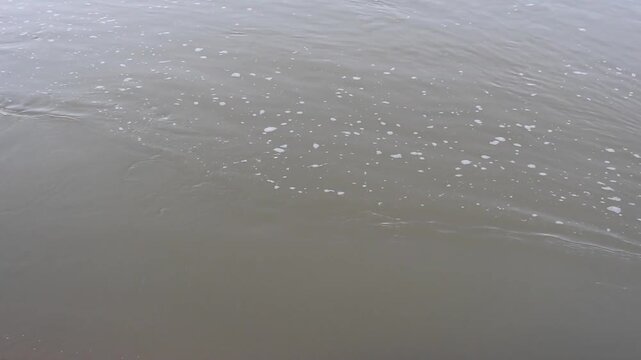 Video clip showing the slow current of the Badam River in Shymkent, Kazakhstan. Calming view of muddy natural stream flow with small foam spots on the water surface.