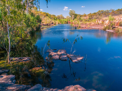 Kimberley Rock Pool with Waterlilies