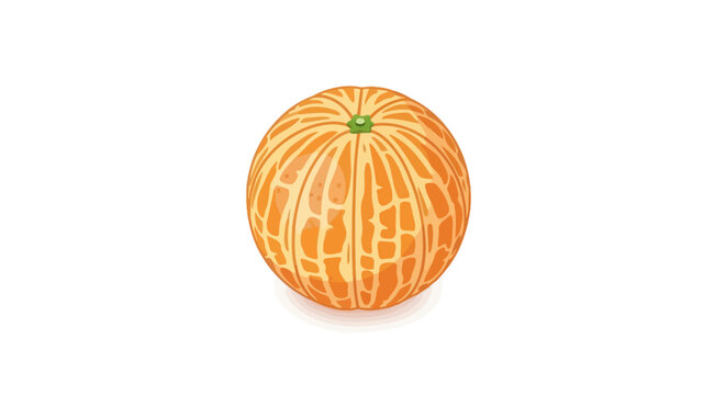 Fresh Whole Cantaloupe Melon Vector Illustration Isolated on White