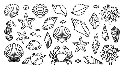 Collection of sea shells and marine life line icons. © ULFAITA