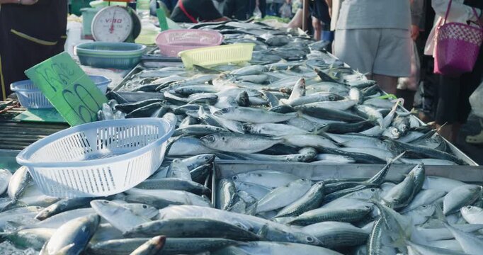 People hand grab choose buy tuna seafood fish in traditional market food industry
