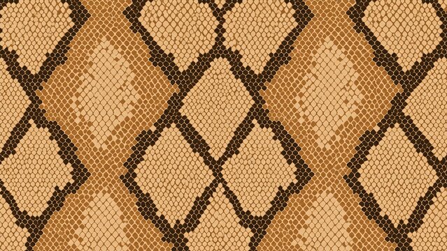 Seamless snake skin pattern background, realistic texture of python or viper scales, vector illustration of reptile skin print for fashion design, fabric, wallpaper