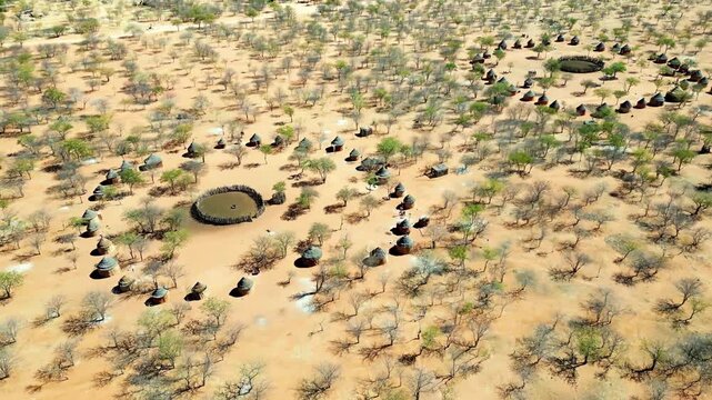 Aerial drone footage showing an african village in the middle of a desert, huts and trees are seen.