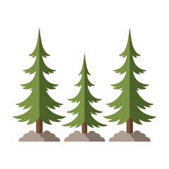 Fototapeta premium Three green pine trees on a white background with brown trunks and branches