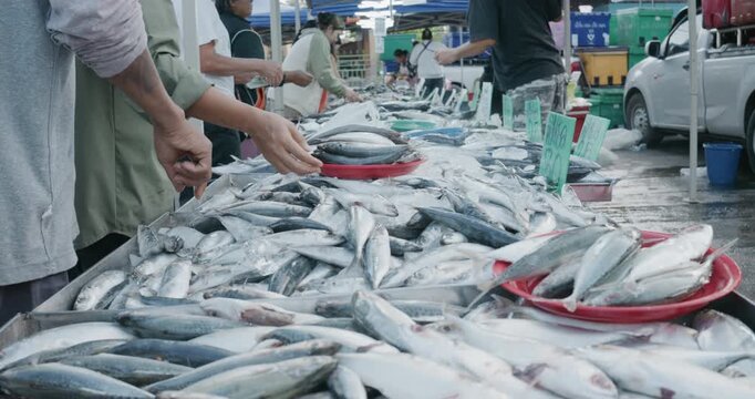 People hand grab choose buy tuna seafood fish in traditional market food industry