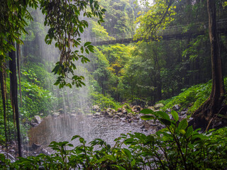 Rainforest Waterfall with Bridge © Kevin
