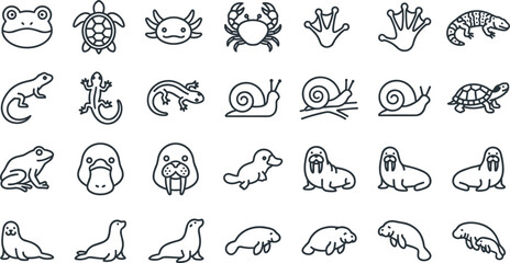 Amphibians Reptiles and Marine Mammals Line Icon Set Featuring Frog Turtle Axolotl Lizard Snail Platypus Walrus Seal and Manatee Vector Illustration © BijoyChandra