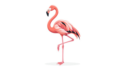 A pink flamingo stands alone on a plain surface in a studio setting. © Wikwik