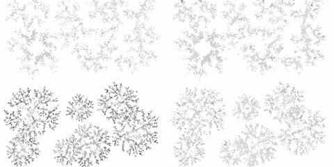 hand drawn shrubs and bushes on white background vegetation botanical sketch illustration natural organic gray silhouette plants © Asit
