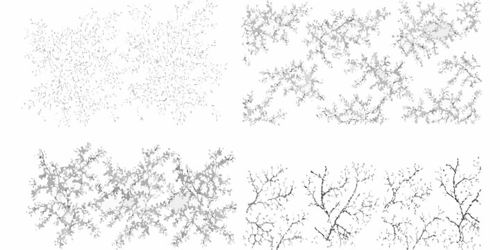 collection of four hand drawn shrubs and bushes on white background shrub bush plant vegetation sketch botanical