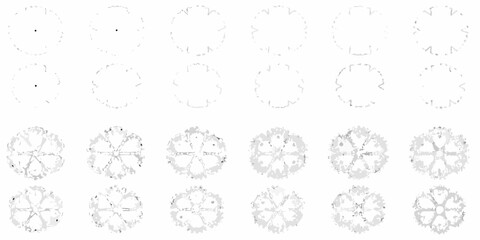 top down tree plan views in grayscale silhouette view landscape architecture design pattern nature botany forest ecology © Asit