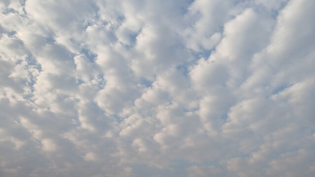 A wide horizontal shot capturing a dense blanket of soft white and grey cumulus clouds rippling across a bright blue sky.