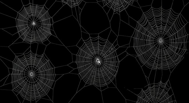 Intricate spider webs pattern on black background