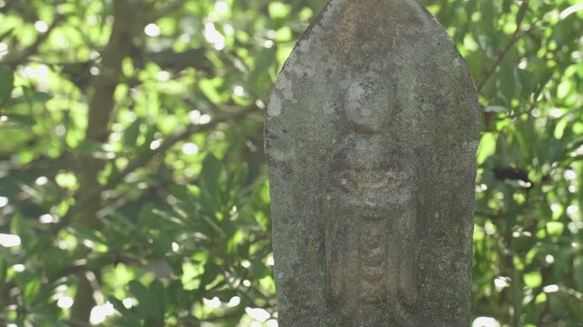 新緑の木漏れ日の中に佇む苔むした古い石仏お地蔵様