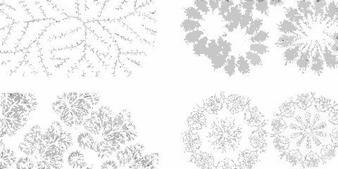 hand drawn shrubs and bushes on white background vegetation botanical sketch illustration gray nature organic foliage plants © PabanBiswas