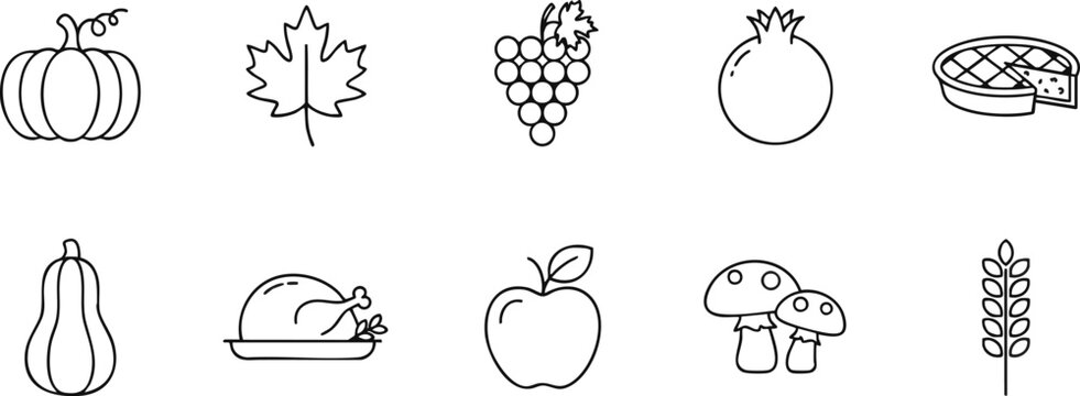 Autumn harvest line icons pumpkins fruits and thanksgiving dinner elements