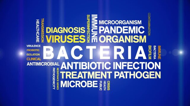 Bacteria animated word cloud-text design animation tag kinetic typography seamless loop.
