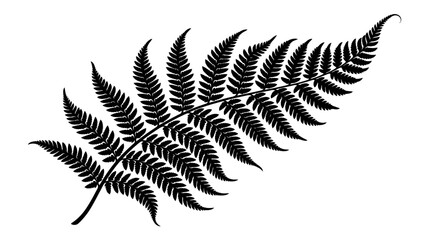 CAD tree lines Tree Black tree silhouette Black fern leaf, vector fern, leaf illustration, botanical design element Vector © MstShopna