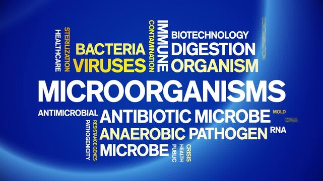 Microorganisms animated word cloud-text design animation tag kinetic typography seamless loop.
